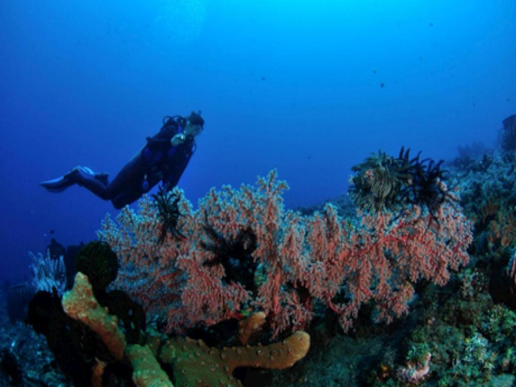 Tulamben Wreck Divers Resort y Restaurante Exterior foto