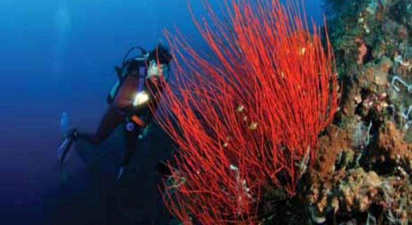 Tulamben Wreck Divers Resort y Restaurante Exterior foto